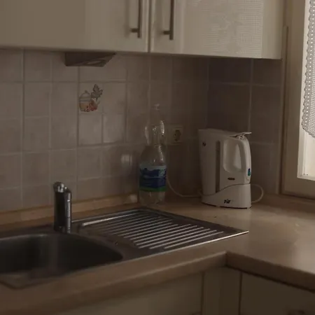 Apartment Blaga *
